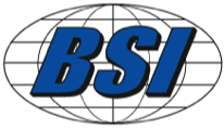 BSI - Business Services International